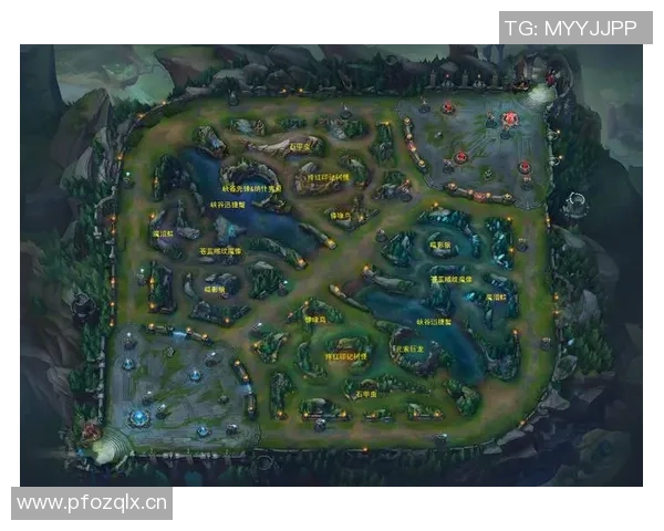 电竞文化的尊重与理解之道：构建和谐电竞生态的必要性与实践